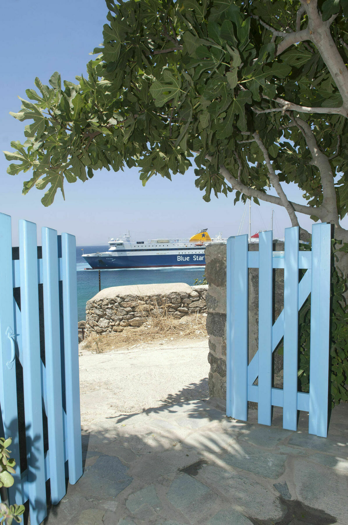 Ασημίνα Ξενοδοχείο Τούρλος Εξωτερικό φωτογραφία
